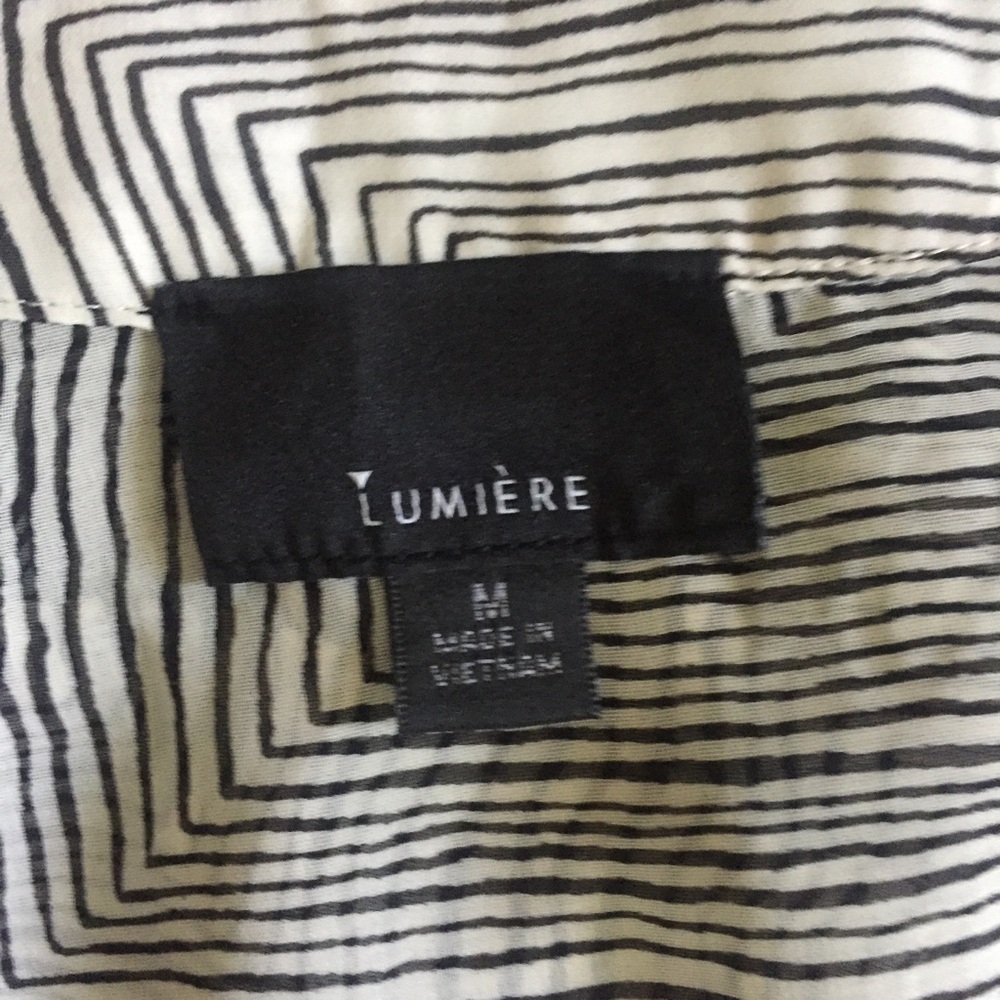 Sheer Zebra Blouse - Picture 3 of 6